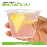 Stock Your Home 250 Pack / Clear / 9.0 ounces Cups