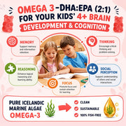 (2 Pack) Methylated Multivitamin Kids Gummies + Omega by FedererSeth – 60 Count (Pack of 2)