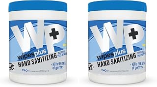 WIPESPLUS Hand Sanitizing Wipes Canister Alcohol Free for Home and Business, 240 Count (Pack of 2)
