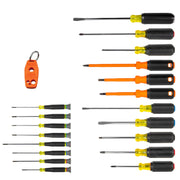 KLEIN TOOLS 20-Piece / Muliti / 1 Screwdriver Sets