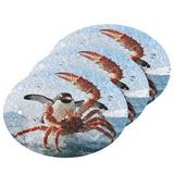Commercial Penguin Riding Crab Splash Artwork Dish Scrub Sponges Kitchen Non Scratch Reusable Compressed Cellulose Sponge Hanging for Household Cleaning Washing Dishes by KOCOART – Wood Pulp Cotton, Pattern7, Model J-SKg462717057p824c879s1922