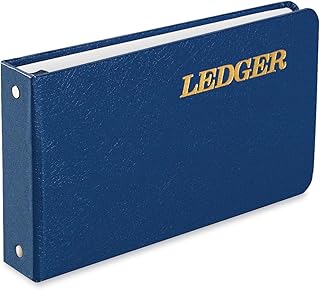 Wilson Jones Ring Ledger Binder
