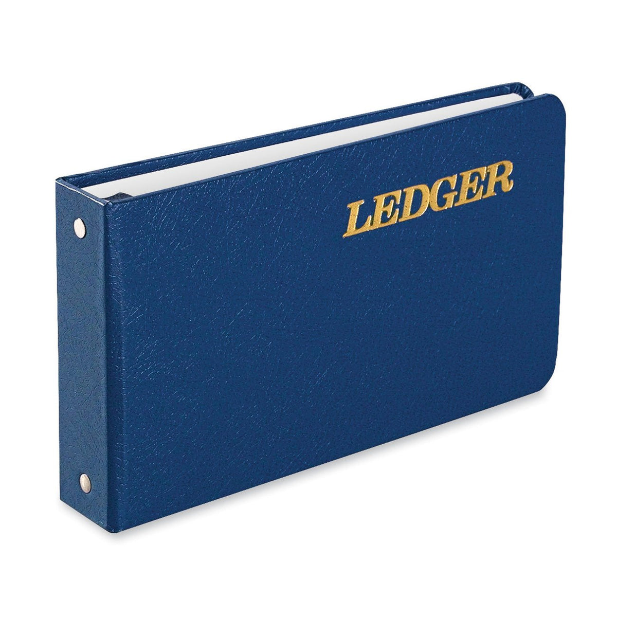 Ring Ledger Binder by Wilson Jones – 1, 1 inches, Metal, Blue, Model W203-58BLA