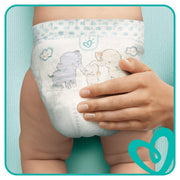 Pampers Baby Dry – size 3, Cotton, White, Model 81616969