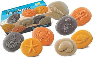 Let's Investigate – Seashore, Set of 8 Stone Figures