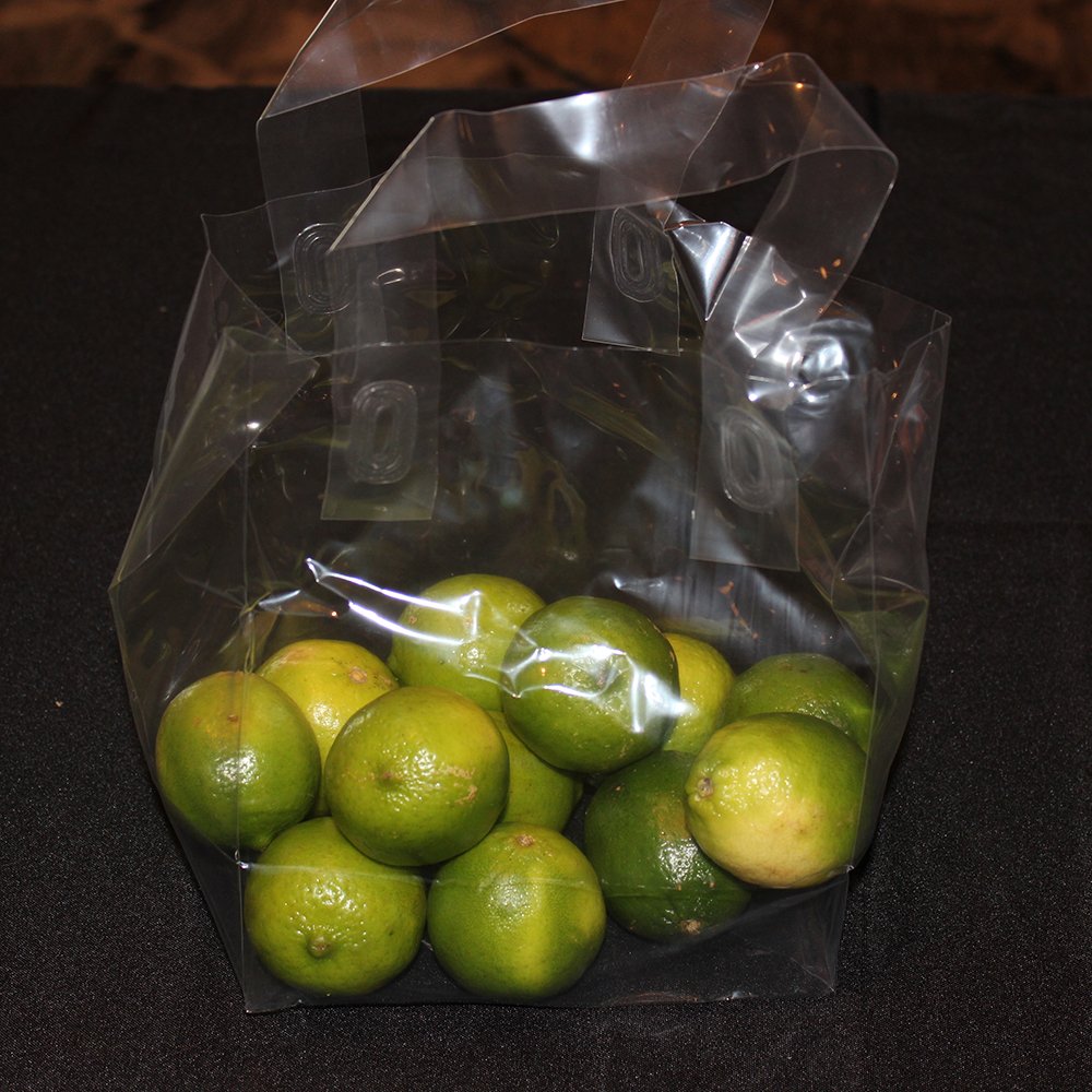 Fast Take Plastic Take-Out Bag with Soft Loop Handle by Elkay Plastics – One Size, Plastic, Transparent, Pack of 200
