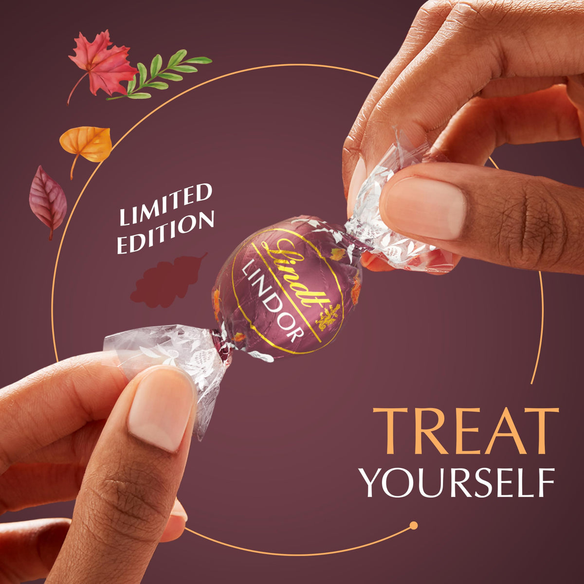 Lindt Maple / 5.1 Ounce (Pack of 1) / Truffles Assortment Boxes