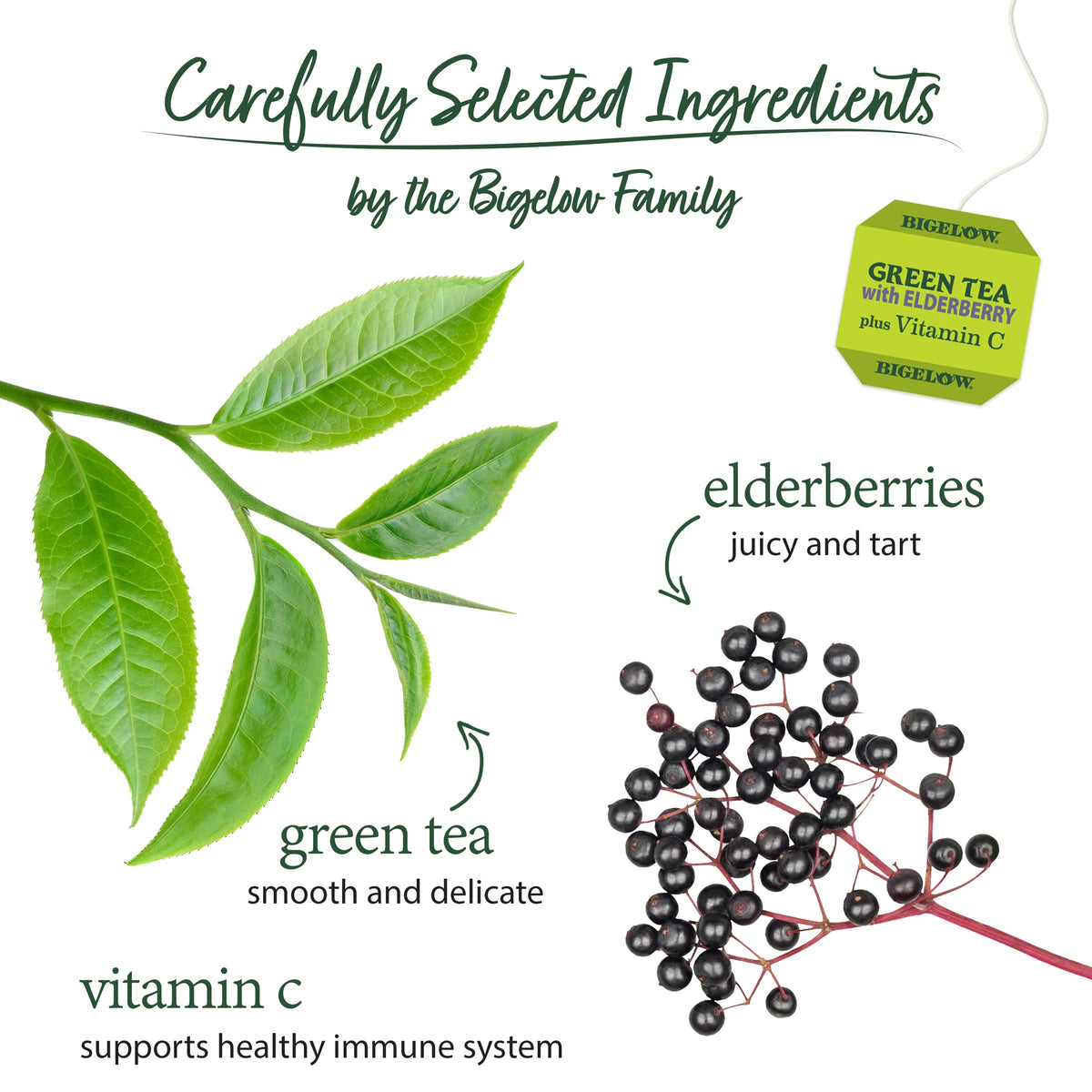 Green Tea with Elderberry Plus Vitamin C by Bigelow Tea – 18 Count (Pack of 6), Natural, Pack of 6, Model SVQQPE