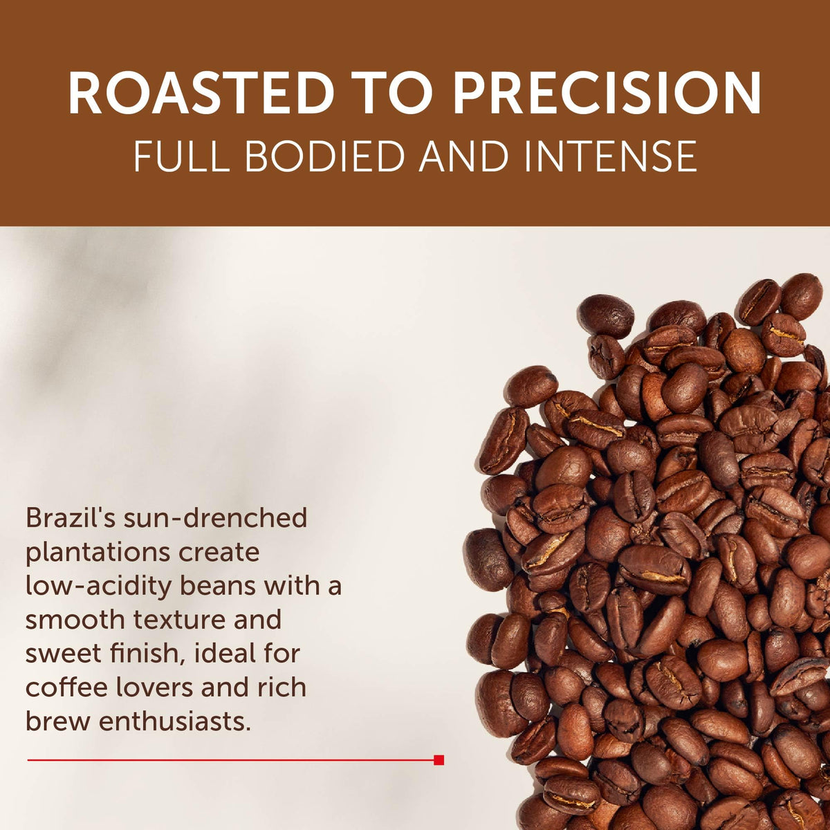 illy Brasile Regenerative Agriculture / 8.8 Ounce (Pack of 6) / Whole Bean Coffee