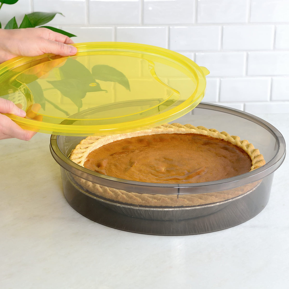 Youngever Pie Containers, Plastic Pie Keeper Set, 11 Inch Diameter, 3 Pack
