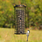 Squirrel Stumper Wild Bird Feeder by Perky-Pet – 6.63W x 5.75D ins., 3 pounds, Metal, Bronze