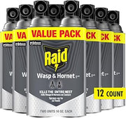 Raid Wasp & Hornet Killer Spray, Bug Killer Kills the Entire Nest, 14 Oz (Pack of 12)