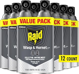 Raid Wasp & Hornet Killer Spray, Bug Killer Kills the Entire Nest, 14 Oz (Pack of 12)