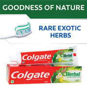 Anticavity Toothpaste Herbal by Colgate – 3.53 Ounce (Pack of 1), Model 1602154