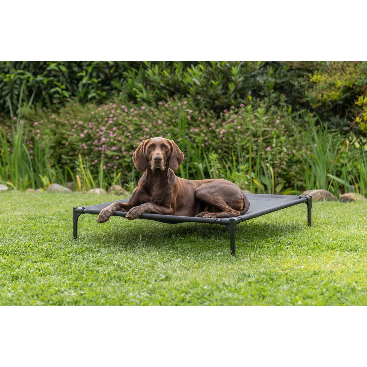 TRIXIE Gray / Large / Modern Dog Houses