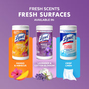 Disinfecting Wipes by Lysol – 80 Count (Pack of 1), Purple, Model 3296590