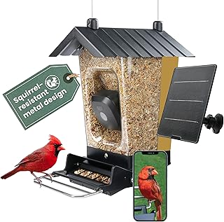 Perky-Pet Solar Powered Smart Bird Feeder with Camera, 3.2L Capacity | Squirrel-Resistant, Motion Activated 1080p HD WiFi Live Stream Camera, Yellow, Camera Feeder Gift Idea, SPCAMSLR-YLW