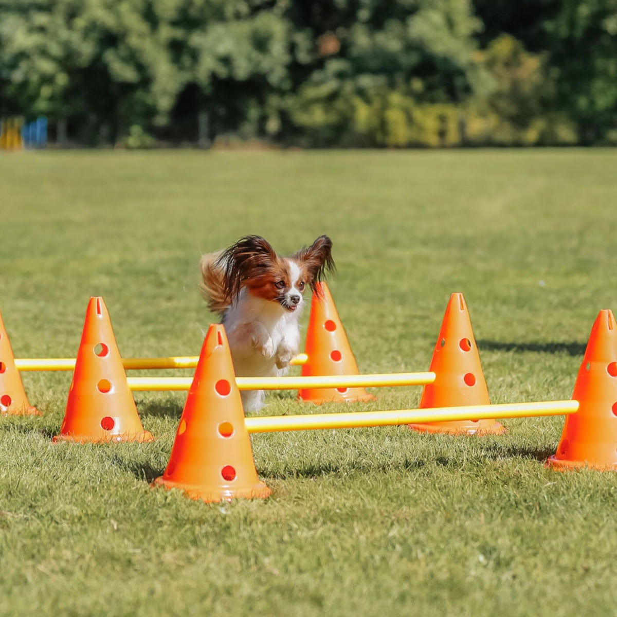 Dog Agility Hurdle Cone Set by TRIXIE – Rubber, Orange/Yellow, Model 32091