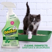 Ready-to-Use Disinfectant and Odor Eliminator by OdoBan – 32 Fl Oz (Pack of 2), Clear, Pack of 2, Model DM01047