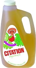 Citation Canola Salad Oil -- 3 Case 1 Gallon