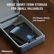 SentrySafe Black / 0.05 cubic feet / Key Lock Security Lock Boxes