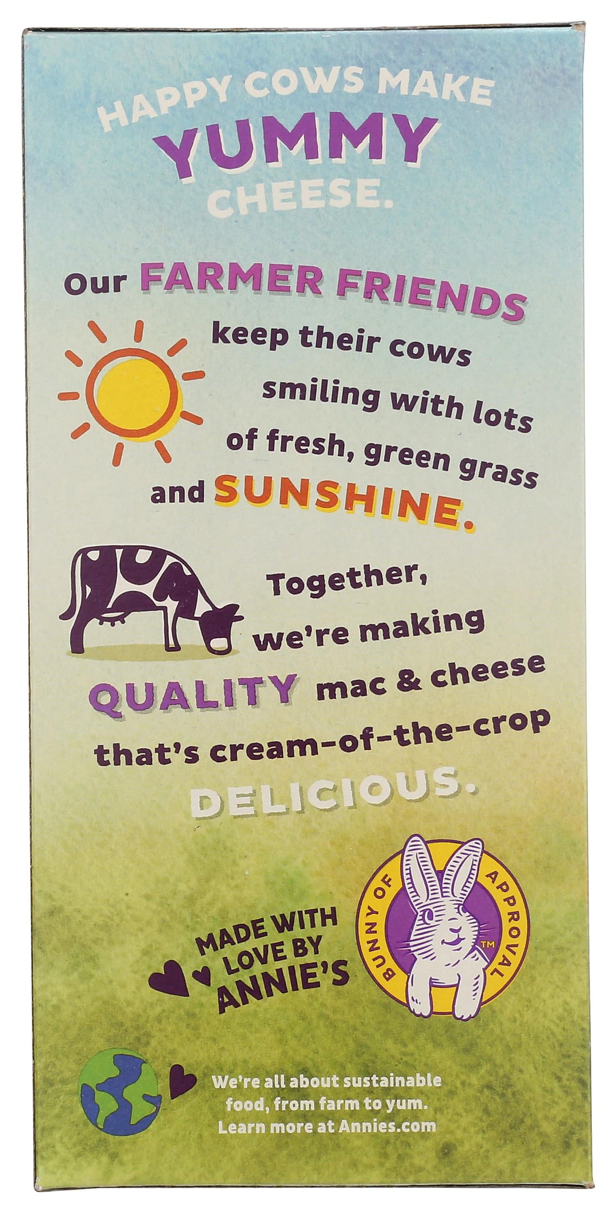 Annie's Homegrown Cheddar / 6 Ounce (Pack of 1) / 1 Macaroni & Cheese