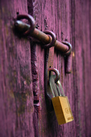 ABUS Keyed Different / Gold / 1 Keyed Padlocks