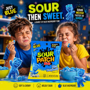 Blue Raspberry - 3.6 oz by Sour Patch Kids – 3.6 Ounce (Pack of 2), Blue, Pack of 2