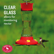 Pinch Waist Glass Hummingbird Feeder (Pack of 2) by Perky-Pet – Pack of 2, 16 fluid_ounces, Glass, Rojo, Pack of 2