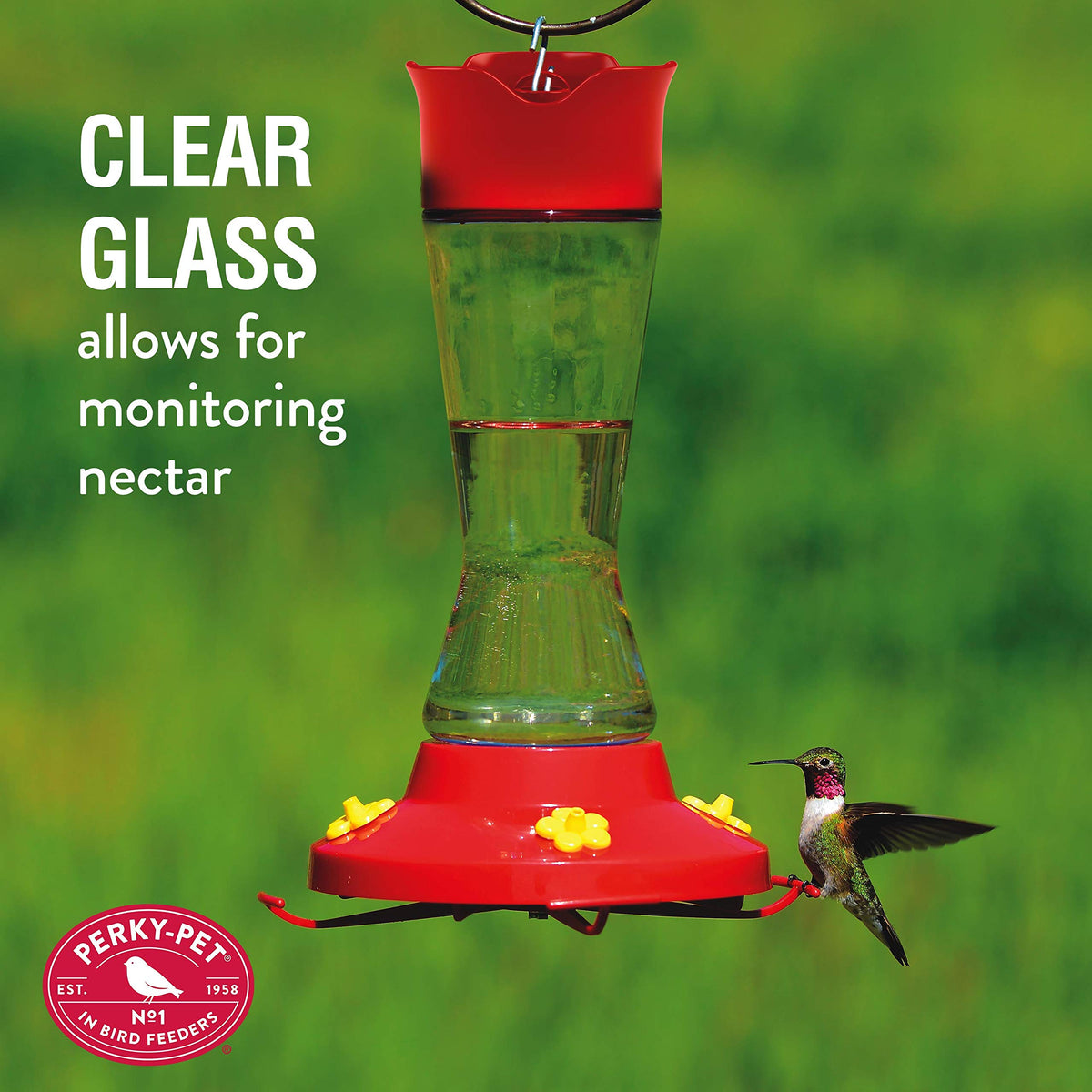Pinch Waist Glass Hummingbird Feeder (Pack of 2) by Perky-Pet – Pack of 2, 16 fluid_ounces, Glass, Rojo, Pack of 2
