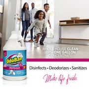 Disinfectant Concentrate and Odor Eliminator by OdoBan – 128 Fl Oz (Pack of 2), Plastic, Clear, Pack of 2, Model 911801