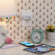 Ultra Slim USB Wall Plate with Two AC Outlets by Honeywell – White, Model HW-WC002-199