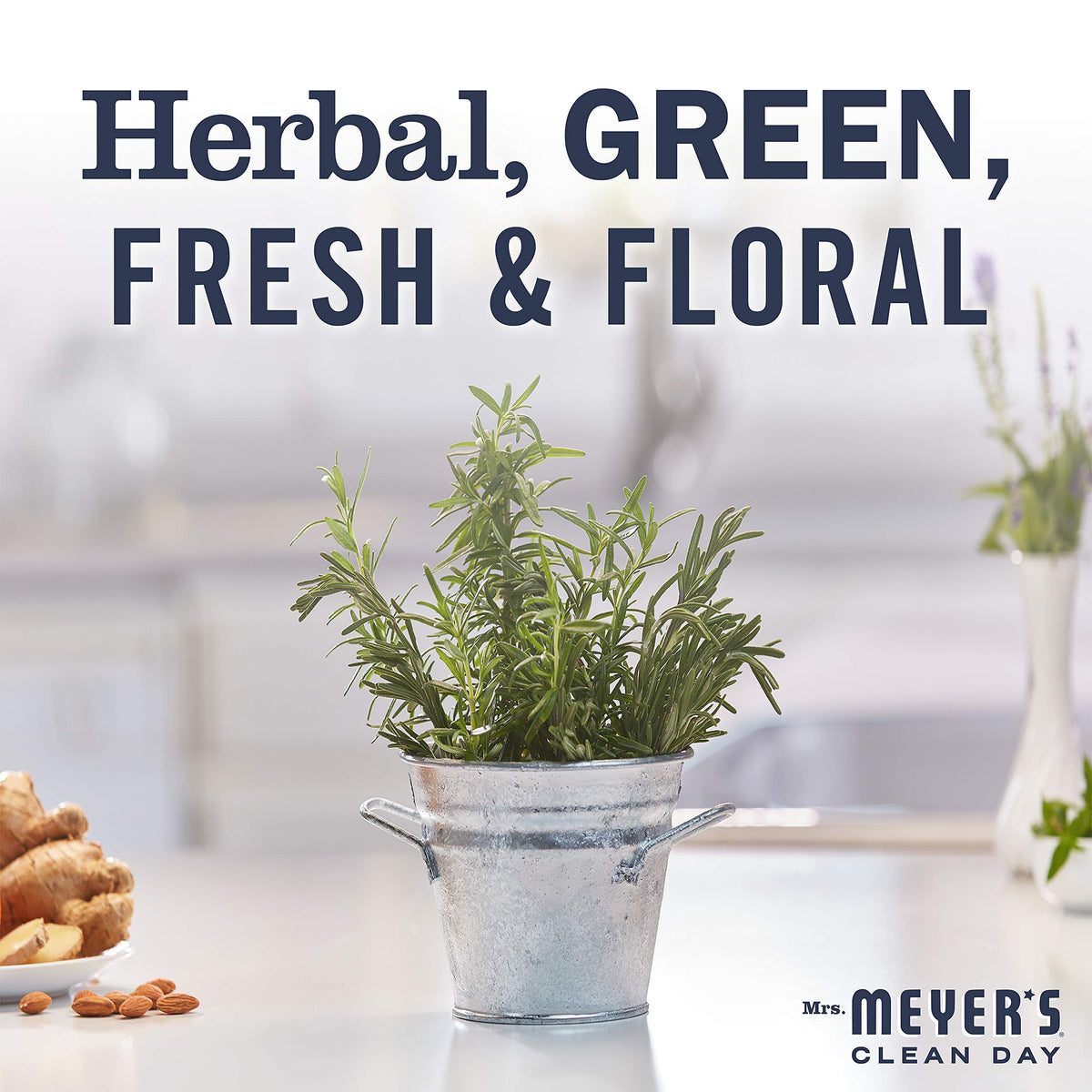 Mrs. MEYER'S 16 Fl Oz (Pack of 3) / Rosemary / A340 Dish Soap