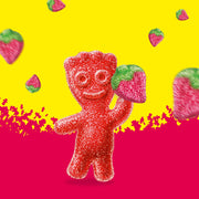 Strawberry Soft & Chewy Candy by Sour Patch Kids – 8 Ounce (Pack of 1), Model S1-F30C-FP29