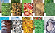 Pacon 0072292 Paper Collections, Nature’s Trail