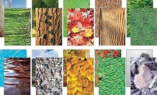 Pacon 0072292 Paper Collections, Nature’s Trail