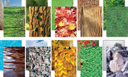 Paper Collections by Pacon – Nature’s Trail, Model 0072292