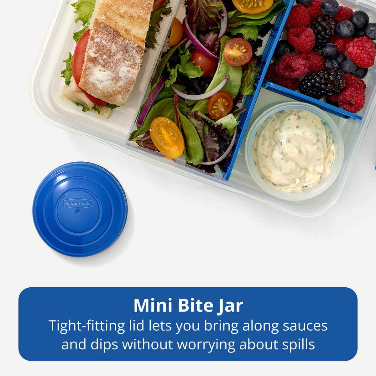 Pack & Go 1.48 L Bento Create by Rubbermaid – 1.48L (2-Pack), 1.48 liters, Plastic, Dark Blue, Pack of 2