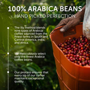 illy Brasile Regenerative Agriculture / 8.8 Ounce (Pack of 6) / Whole Bean Coffee