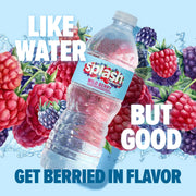 Splash Refresher Wild Berry | 16.9 Fl Oz | Plastic Bottle | 24 Pack by SPLASH BLAST – 16.9 Fl Oz (Pack of 24), Clear, Model H-3044