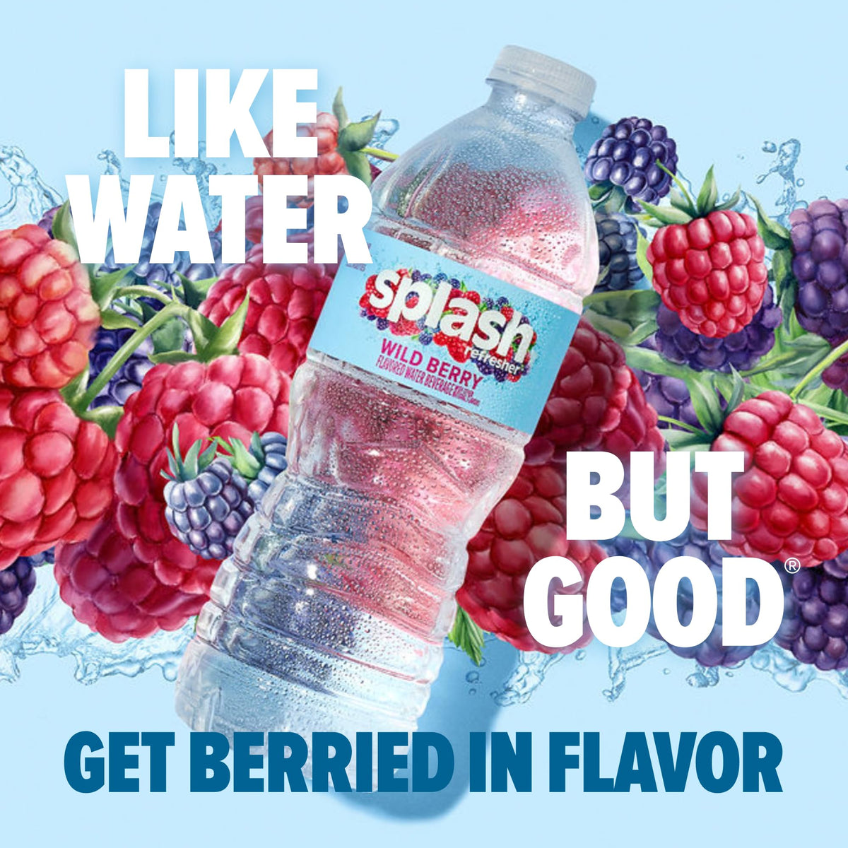 Splash Refresher Wild Berry | 16.9 Fl Oz | Plastic Bottle | 24 Pack by SPLASH BLAST – 16.9 Fl Oz (Pack of 24), Clear, Model H-3044