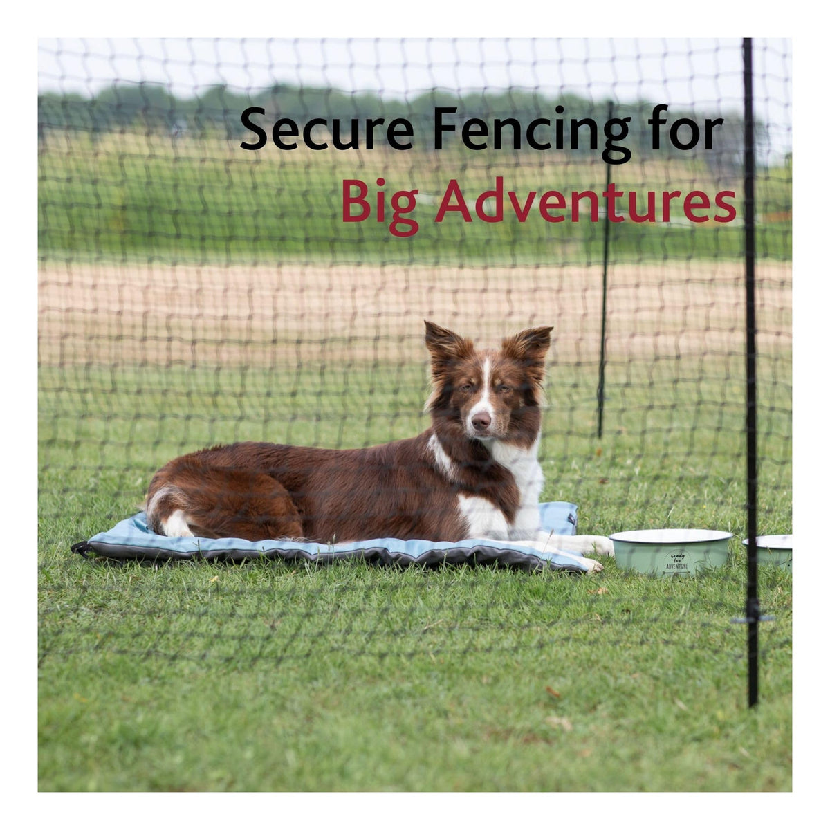 Portable Pet Fence by Trixie – Plastic, Black, Model 39539