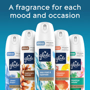 Odor Fighting Soft Mist Air Freshener Room Spray by Glade – 7.3 Ounce (Pack of 1), Orange, Model 391471