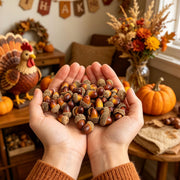 Cllayees Artificial Acorns, 120 Pack, Light Brown and Dark Brown