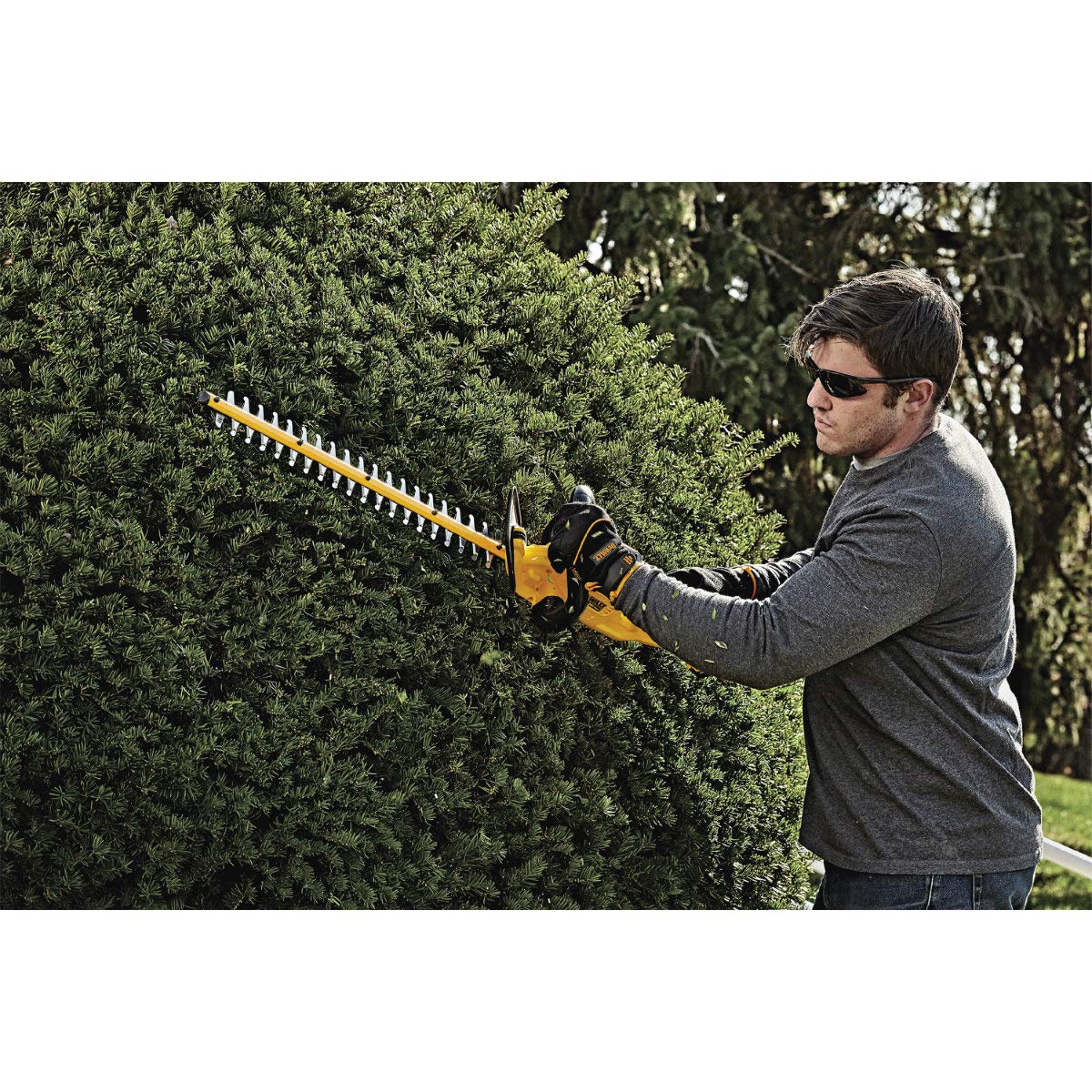 Trimmer Hedge Bare 20V by DEWALT – One Size, Metal, Black/Yellow, Model DCHT820B