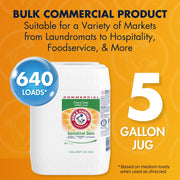 ARM & HAMMER 640 Fl Oz (Pack of 1) / Free & Clear Sensitive Skin / 1 Liquid Detergent