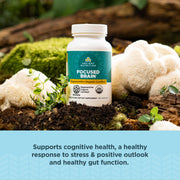 Regenerative Organic Certified Focused Brain Capsules by Ancient Nutrition – 90 Count (Pack of 1), Model ROC0769-SL-FBA