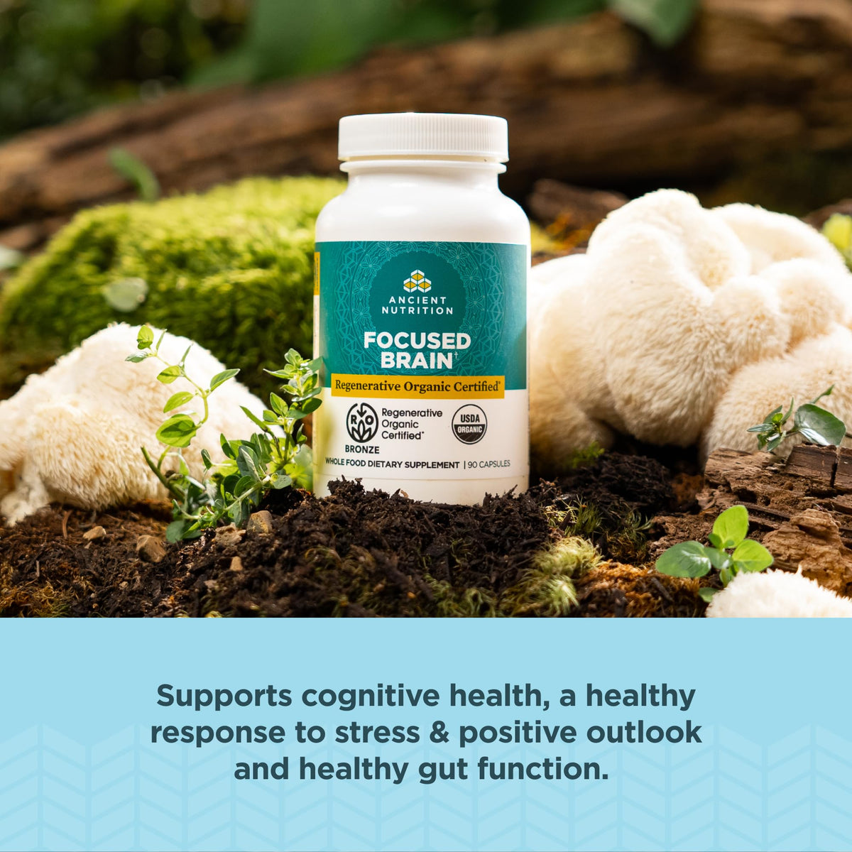 Regenerative Organic Certified Focused Brain Capsules by Ancient Nutrition – 90 Count (Pack of 1), Model ROC0769-SL-FBA
