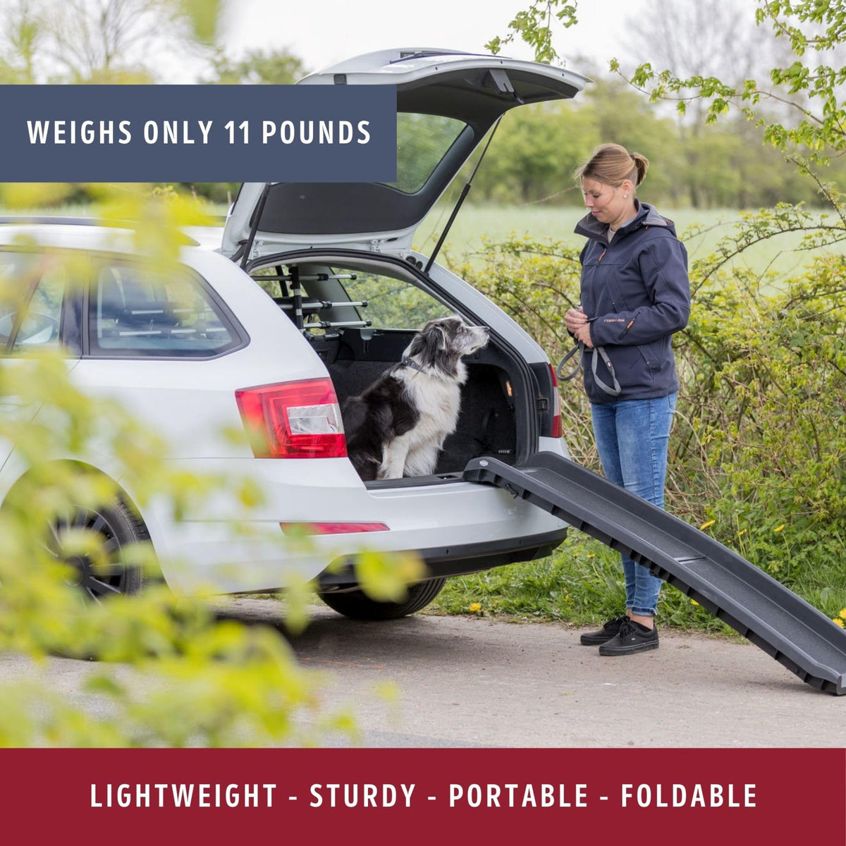 TRIXIE Bi-fold Ramp / 61" Long / 1 Vehicle Ramps