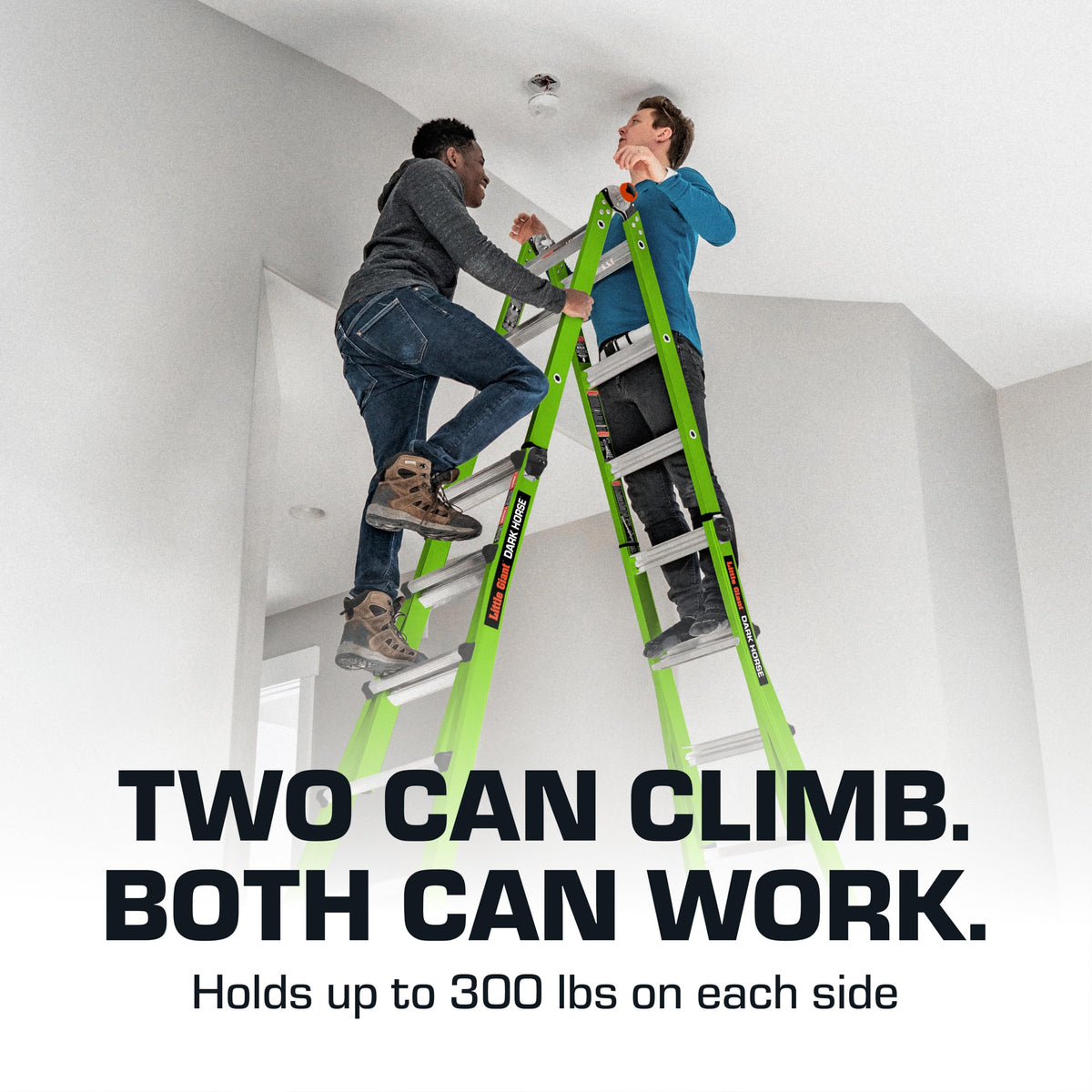 Ladder Systems Dark Horse 2. by Little Giant – 17 Ft., Fiberglass, Black, Model 16117-001